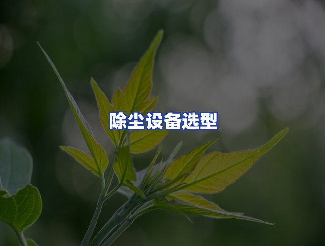 专业团队